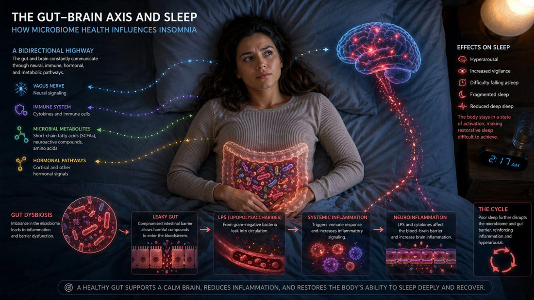 The Gut-Brain Axis and Sleep: How Microbiome Health Influences Insomnia - Natural Health Solutions